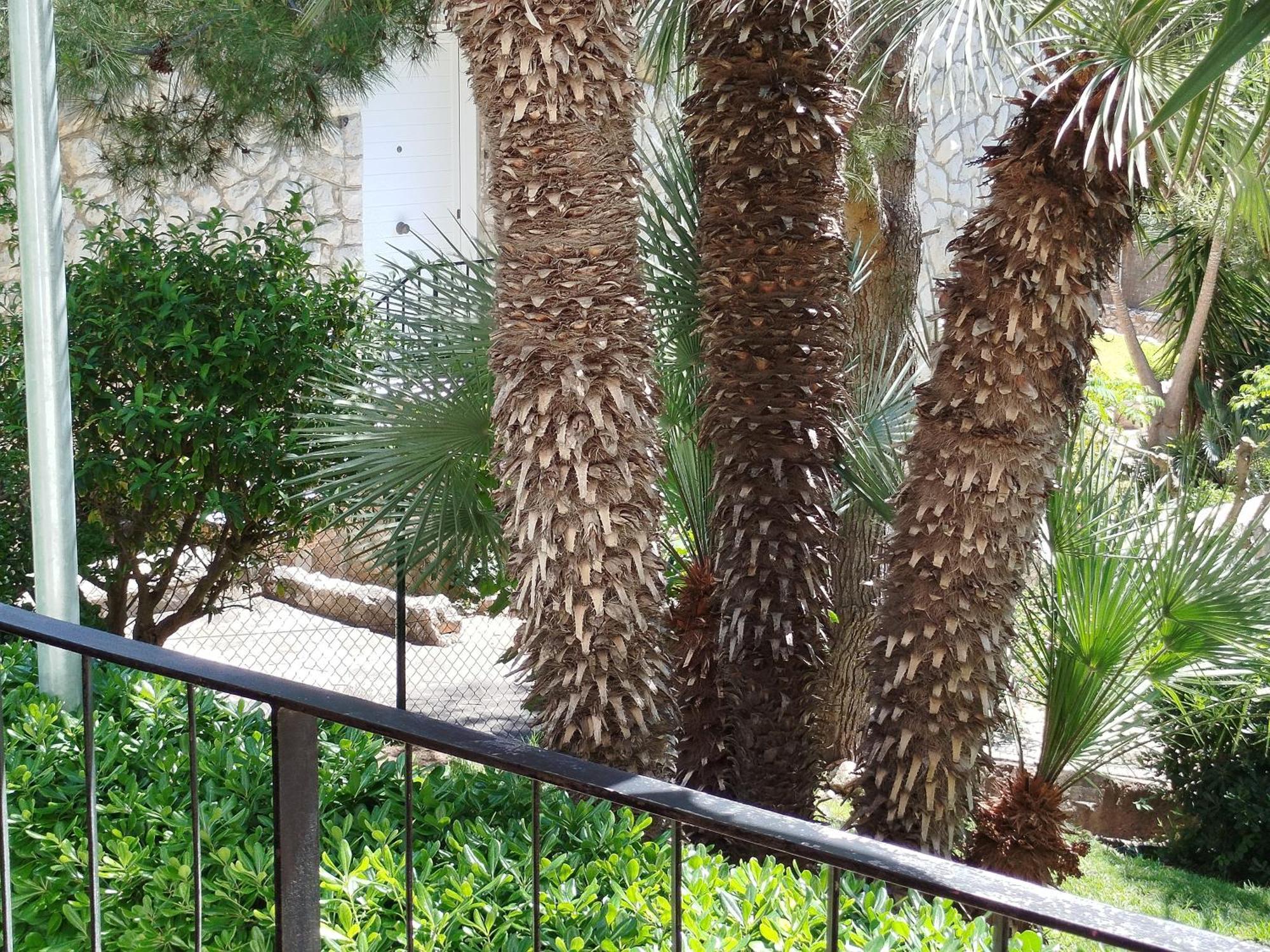 Apartament Brisa Del Mar Salou Zewnętrze zdjęcie
